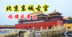 大晚上蹲一个男高中生帮他破处视频作爱中国北京-东城古宫旅游风景区